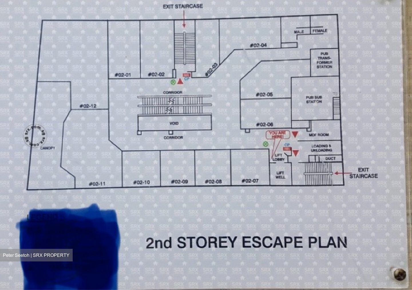 Midpoint Orchard (D9), Shop House #485143551